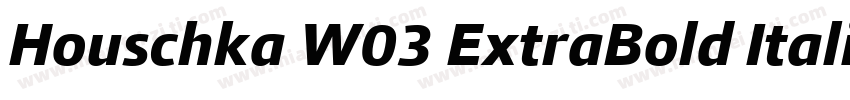 Houschka W03 ExtraBold Italic字体转换
